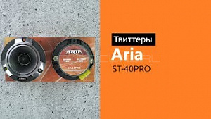 Aria Pro ST-40 4Ом