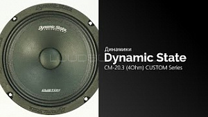 Dynamic State Custom Series CM-20.3 4Ом
