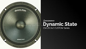 Dynamic State Custom Series CM-20.3v2 4Ом