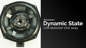 Dynamic State DSW-BMW202P Dive Series