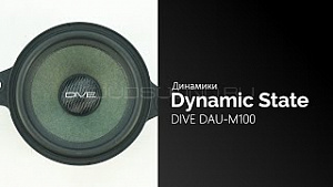 Dynamic State Dive DAU-M100