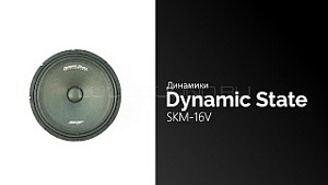 Dynamic State SKM-16V 4Ом