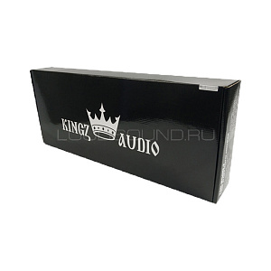 Kingz Audio TSR-2500.1